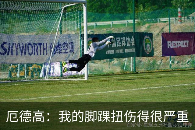 厄德高：我的脚踝扭伤得很严重