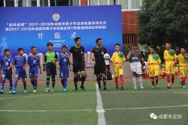 乐鱼(Leyu)官网专业服务图片